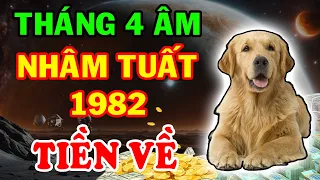 Tử Vi Nhâm Tuất 1982 Được Lộc Trời Ban Giàu Có Nhất Họ Trong Tháng 4 Âm Lịch