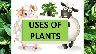 USES OF PLANTS  || SCIENCE EDUCATIONAL VIDEO FOR KIDS