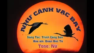 karaoke Như Cánh Vạc Bay (tone Nữ)🎤