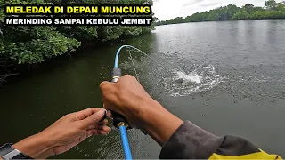 Mancing ikan kakap besar sak bantal bantal