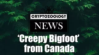 Real or Hoax? The "Creepy Bigfoot" Picture from Canada