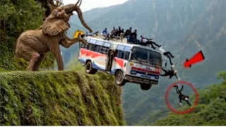 UNBELIEVABLE Animal Encounters Caught on Camera for THREE Hours #3 | Best of Series