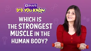Can you name the Strongest Muscle in the Human Body? #Shorts