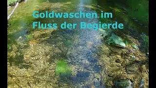 Ein goldreicher Tag am Fluss der Begierde!🌟 #goldwaschen #outdoor #abenteuer