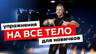 Комплекс УПРАЖНЕНИЙ для НОВИЧКОВ НА ВСЁ ТЕЛО