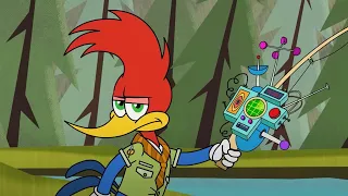 Woody Woodpecker | Woody goes on a mission | Woody Woodpecker