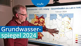Nach Dürrejahren in Deutschland: Wie sehen die Grundwasserstände aktuell aus? | Umschau | MDR