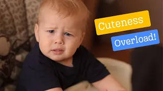 Cuteness Overload Hilarious Baby Moments That Will Make Your Day
