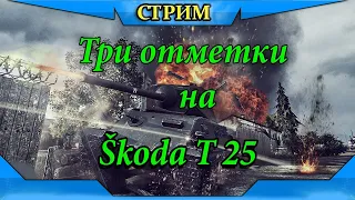 Три отметки на Škoda T 25 | Взвод с punisher24