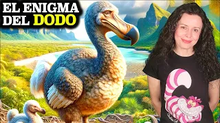 ¿Se extinguió por estúpido? La LEYENDA NEGRA del DODO