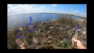 Lots of Pythons! 3 In One Spot! - Python Hunting in the Florida Everglades - Episode 4