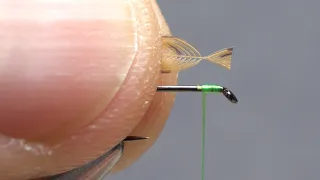 Advanced Soft Hackle Tips   Part 2