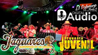 Orquesta Juvenil del Maestro Nicho Catillo y Comparsa Jaguares. CARNAVAL CHIMALHUACAN 2023