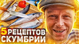 СКУМБРИЯ может удивить! 5 РЕЦЕПТОВ. Вот как нужно готовить рыбу # 229. ENG SUB.