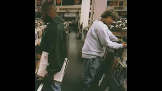 DJ Shadow - Building Steam With A Grain Of Salt - Remastered