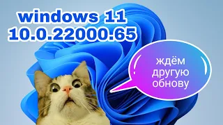 Обновления для Windows 11 (10.0.22000.65) (КВ5004745) исправлено 43 ошибки но не все  экран мигает.