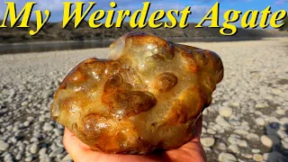 The Weirdest Montana Agate I've Ever Found! Hunting an Island for Jaspers, Agates, & Fossils!