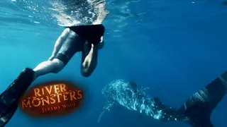 Swimming With The World's BIGGEST FISH | River Monsters