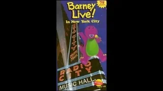 Barney Live! in New York City 2000 VHS (How it Should Have Been in My Opinion)