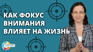 Как фокус внимания влияет на жизнь. Аутизм, ЗПР, ОВЗ.