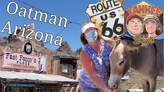 Oatman Arizona and the Burros That Run The Town Route 66 exploring