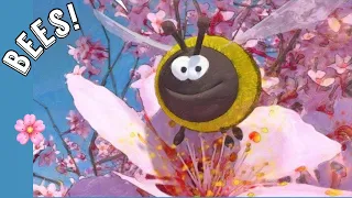 🐝 All About Bees! | CozyTimeTales Read Aloud