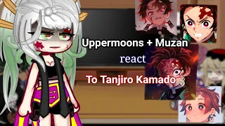 Uppermoons + Muzan react to Tanjiro Kamado ||kny||part 1/1