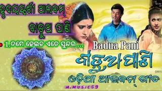 tame heicha ete Sundar - odia song//album by badua Pani