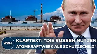 PUTINS KRIEG: "Die Russen benutzen das Atomkraftwerk als Schutzschild!" I WELT Interview