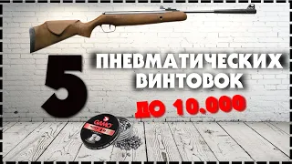 Топ 5 Пневматических Винтовок До 10000