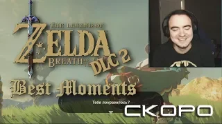 [L.A.VideoMix] BlackSilverUfa * Zelda DLC 2 Best Moments