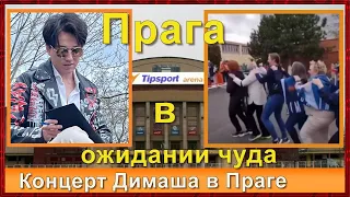 📣Концерт Димаша в Праге В ожидании концерта Dears  время зря не теряют  Последние приготовления✯SUB✯