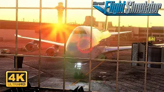 (4K) Microsoft Flight Simulator 2023 - MAXIMUM GRAPHICS Los Angeles 747-8 Landing