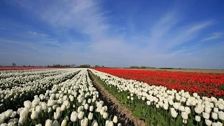 Weerbericht maandagochtend: Morgen wind en veel buien