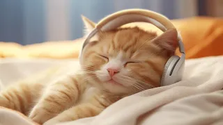 EXTREMELY Soothing Cat Therapy Music - Relax Your Cat! Cat Music