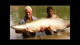 Catching A Giant Arapaima - River Monsters