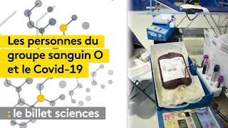 Covid-19 : pourquoi les personnes de groupe sanguin O sont-elles moins contaminées ?