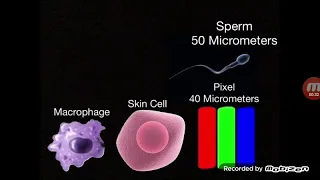 Universe size comparison 2024 part 2