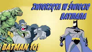 Zwierzęta W Świecie Batmana | Batman 101 Po Polsku | DC Kids