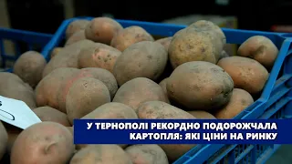 У Тернополі рекордно подорожчала картопля: які ціни на ринку