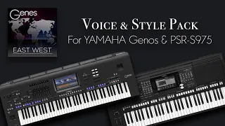 Звуки и стили для YAMAHA Genos, Tyros5, PSR-SX900, PSR-SX700, PSR-S975 [6/8]