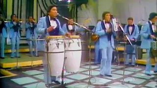 (1981) Sonora Palacios | Tu Olvido