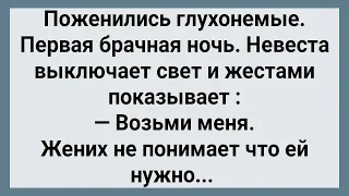 Как Глухонемые Брачную Ночь Провели! Сборник Свежих Анекдотов! Юмор!