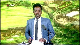 DW International ትግርኛ ዜና ሰዓት 12:30 ፣ 14 መስከረም   2016 ዓ/ም Live Streaming