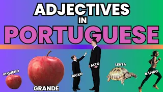Common Portuguese Adjectives | Beginner and Intermediate Phrases in Portuguese
