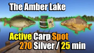 🎣Russian Fishing 4 RF4 - The Amber Lake Active Carp Spot #303