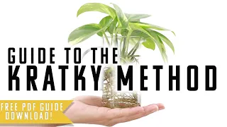 Guide to the Kratky Method | Understanding Passive Hydroponics