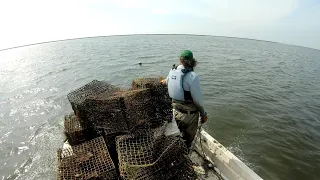 The Crab Trap Collectors