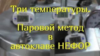 Три температуры. Паровой метод в автоклаве НЕФОР.