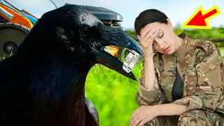 The girl fed the crow, but when it flew in with a gift, her father began to cry!